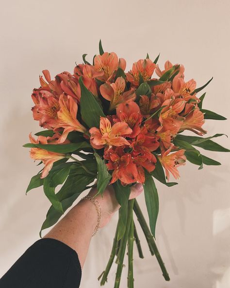 Did you know we deliver on DoorDash?! Send someone special flowers or treat yourself! 💐 https://earth-and-metals.square.site/flower-bar Orange Lillies Flowers, Orange Tiger Lily Bouquet, Tiger Lilly Bouquet, Tigerlily Bouquet, Tiger Lily Bouquet, Ways To Propose, Lily Bouquet, Flower Bar, Special Flowers