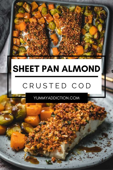 Easy cleanup and low-stress cooking are just a few of the many benefits of this almond crusted cod sheet pan dinner. Caramelized winter vegetables, tender baked cod with a crunchy nut crust, and a delicious drizzle of sweet and tangy balsamic sauce make a satisfying dinner, all on one baking sheet. #sheetpan #cod #dinner #fish #brusselssprouts #butternutsquash Paleo Cod Recipes, Almond Crusted Fish, Cod Dinner, Brussels Sprouts And Butternut Squash, Balsamic Vegetables, Easy Fish Dinners, Crusted Cod, Evening Food, Dinner Fish