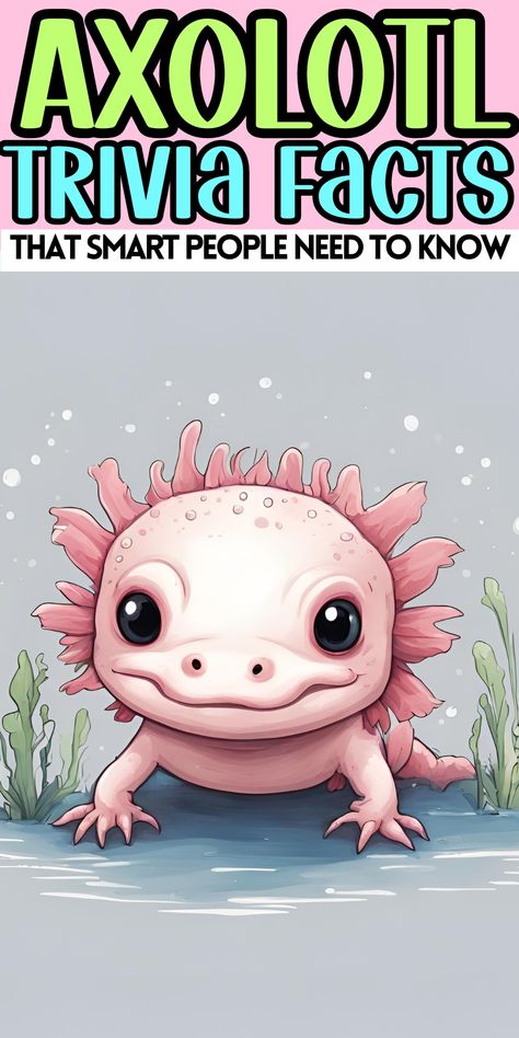 Axolotl Trivia Facts And Interesting Random Information To Make You The Smartest At The Party - Did you know that the axolotl is not a fish, but an amphibian? It belongs to a group of salamanders known as "mole salamanders" and can be found in lakes and ponds in Mexico. 

The name "axolotl" comes from the Aztec language, Nahuatl, meaning "water monster." However, they are also referred to as Mexican walking fish due to the gill-like external structures that allow them to breathe underwater. Axolotl Birthday Party Ideas, Aztec Language, Axolotl Birthday Party, Breathe Underwater, Water Monster, Trivia Facts, Breathing Underwater, Salamanders, Games And Activities