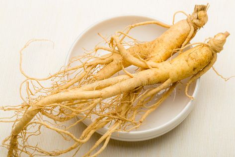 Ginseng. Fresh Ginseng root stick on the white , #affiliate, #Fresh, #Ginseng, #root, #white, #stick #ad American Ginseng, Organic Diet, Stomach Issues, Growth Serum, Pharmacology, Natural Home Remedies, Home Remedies, Food Videos, Natural Remedies