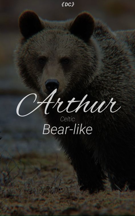 Arthur Name Meaning, Names That Mean Bear, Celtic Names, Norse Names, Celtic Bear, Welsh Names, Exotic Names, English Adjectives, Fantasy Character Names