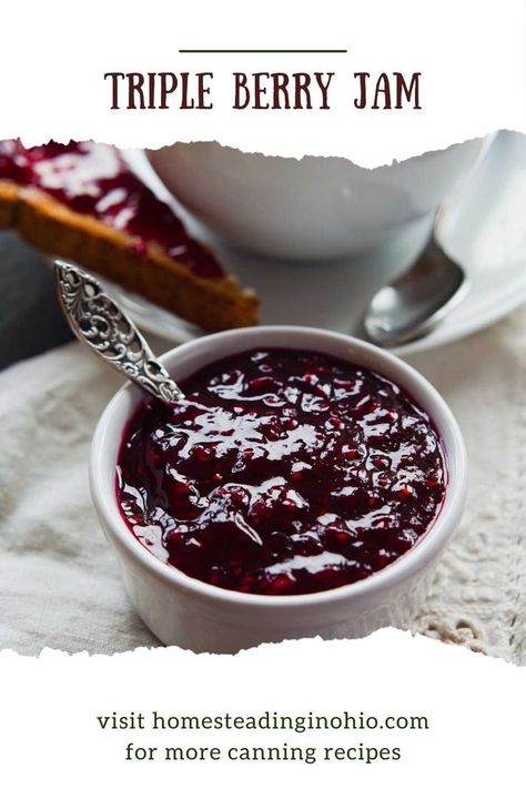 Mix Berry Jam Recipe, Mixed Berry Jam Recipe With Pectin, Triple Berry Jam Recipe, Mixed Berry Freezer Jam, Mixed Berry Jam With Frozen Berries, Mixed Berry Jam No Pectin, Triple Berry Jam, Mixed Berry Jam Canning, Low Sugar Blackberry Jam For Canning