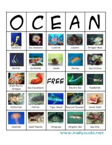 OCEAN Bingo Ocean Bingo Free Printable, Aquarium Scavenger Hunt, Swell Shark, Aquarium Trip, Ocean Activities Preschool, Preschool Ocean, Ocean Words, Ocean Theme Preschool, Bingo For Kids