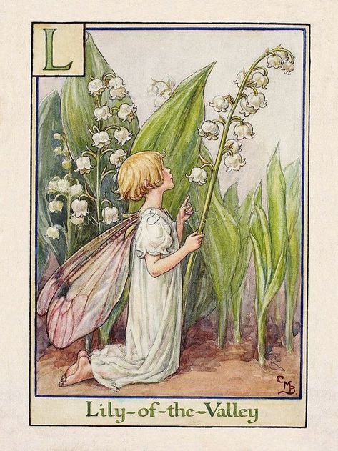 Lily + Core + Aesthetic, The Flower Fairies, Alphabet Flower, Flower Fairies Books, Lily Of The Valley Flowers, Valley Flowers, Cicely Mary Barker, Fairy Aesthetic, Art Society