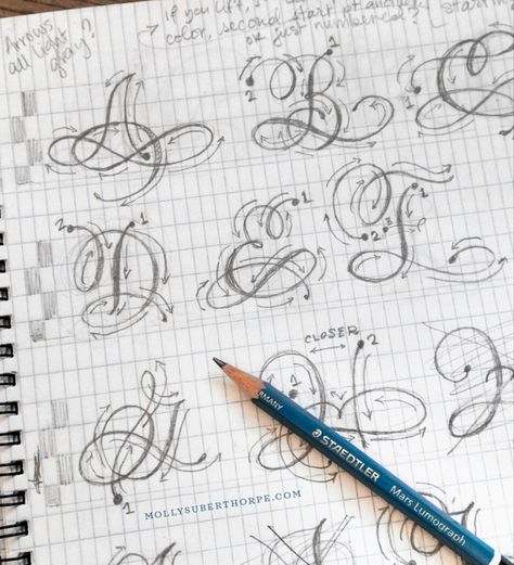 Flourishing Calligraphy, Flourish Calligraphy, Lettering Styles Alphabet, Learn Hand Lettering, Calligraphy Tutorial, Copperplate Calligraphy, Calligraphy For Beginners, Alphabet A, Tattoo Lettering Fonts