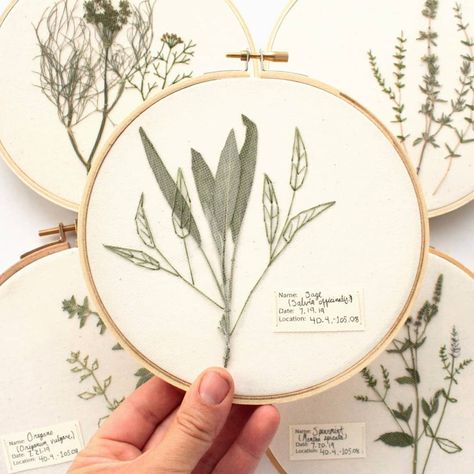 think the sage might be my favorite from my new pressed herbs series. What's your favorite?  These will be available on Thursday, August Bush Embroidery, Sage Embroidery, Pressed Herbs, Sage Bush, Embroidery Art, My Favorite, Herbs, Sketch, Embroidery