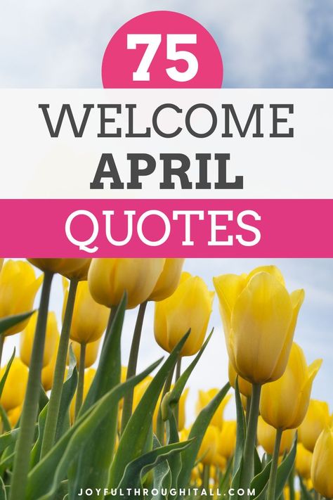 Inspirational welcome April quotes for spring Quotes For April, Funny Short Quotes, Hello Quotes, April Quotes, Short Funny Quotes, Spring Quotes, Month Of April, Being Used Quotes, Weird Dreams