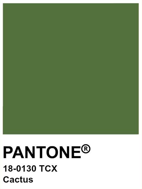 PANTONE 18-0130 TCX Cactus #pantone #color How Does Pinterest See Me Color, Color Core Aesthetic, How Pinterest Sees Me Color, Pantone Pictures, Pantone Aesthetic, Green Pantone, Pantone Green, Forest Elf, Pantone Colors