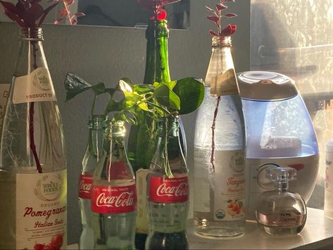 Plants In Coke Bottles, Flowers In Coke Bottles, Hydroponic Aesthetic, Plant In Bottle, Aesthetic Plants, Plants In Bottles, Blue Plants, Plant Covers, Happy Pictures