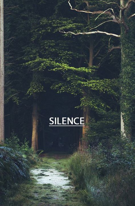 Silence// Green Gables, Alam Yang Indah, Enchanted Forest, Nature Beauty, Beautiful World, Dark Fantasy, In The Middle, Mother Nature, The Great Outdoors