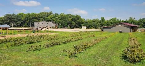 The Incredible Farm In Nebraska Where You Can Pick Buckets Of Berries Buckets, Nebraska, The Incredibles, Canning, Nature