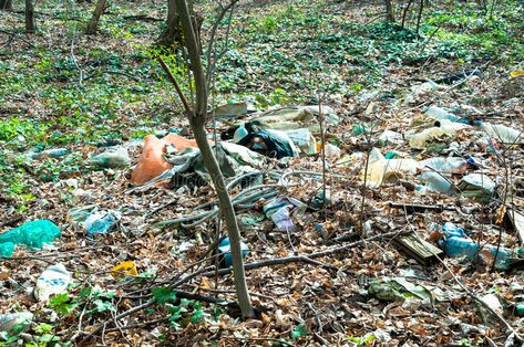 Garbage in the forest. Nature pollution. Garbage pollution in the park. Litter #Sponsored , #Sponsored, #sponsored, #forest, #Litter, #park, #Garbage Polluted Forest, Forest Pollution, Garbage Pollution, Nature Pollution, Deer Painting, Forest Photos, Forest Nature, Plastic Pollution, Save Animals