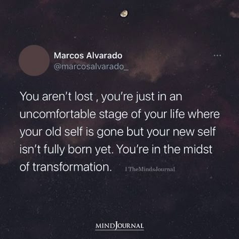 You Aren’t Lost, You’re Just In An Uncomfortable Stage So Lost Quotes Life, Quotes For When You Feel Lost, Quotes When Feeling Lost, Quotes About Feeling Lost In Life, Strong Powerful Quotes, When Nobody Understands You Quotes, Lost Everything Quotes, Lost In Life Quotes, Feeling Lost Quotes Life