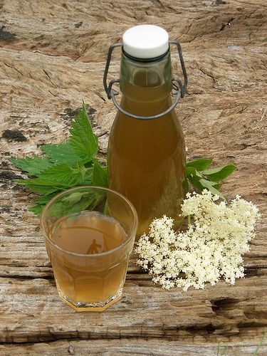 Nettle and elderflower beer with link to recipe / brandnetel en vlierbloesem bier Foraging Recipes, Edible Wild Plants, Foraged Food, Homemade Wine, Pinot Gris, Wild Edibles, Beer Recipes, Wild Food, Edible Plants