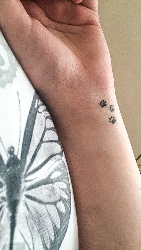 Cat Paws Tattoo and like OMG! get some yourself some pawtastic adorable cat apparel! Good First Tattoos, Cat Paw Tattoos, Tato Minimal, Tattoo Placements, Sanskrit Tattoo, Pawprint Tattoo, Paw Tattoo, Neck Tattoos, Shoulder Tattoos