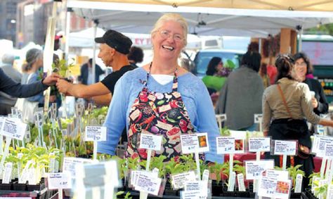 She Sells Seedlings: Why Trina Pilonero Is the Urban Gardener’s Secret Weapon Selling Seedlings, Types Of Tomatoes, Farm Nursery, Garden Veggies, Farm Stand, Farmers Markets, Local Farm, Union Square, Locally Grown