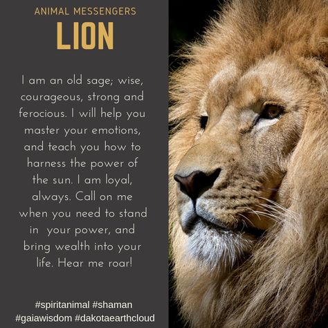 Lion Spirit Animal Meaning, Lion Meaning Strength, Lion Dream Meaning, Lion Totem, Lion Affirmations, Animal Guides Spiritual, Lion Totem Spirit Animal, Lion Meaning, Animals Meaning Spiritual