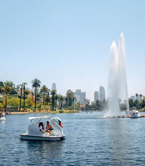 Pedal Boat Rentals in Echo Park, Los Angeles, CA - Wheel Fun Rentals Echo Park Lake Los Angeles, Swan Boats, Echo Park Los Angeles, Echo Park Lake, 2024 Manifestations, Pedal Boats, La Summer, Pedal Boat, Los Angeles Parks