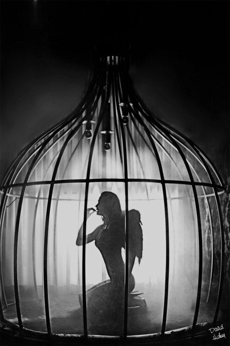 . Marionette Tattoo, Bird In A Cage, Night Circus, Ange Demon, Angels Among Us, Foto Art, Trik Fotografi, Fairy Angel, Angels And Demons