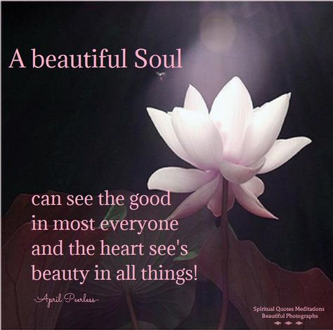 A beautiful Soul can see the good in most everyone and the heart see’s beauty in all things! -April Peerless Beautiful Soul Quotes, A Beautiful Soul, Uplifting Thoughts, Falling In Love Quotes, Calm Quotes, Stock Quotes, Soul Quotes, Flower Quotes, Yoga Quotes