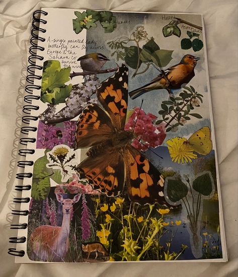 Wildlife Journal, Scrapbook Ideas Nature, Wildlife Scrapbook Ideas, Poisonous Animals, Nature Scrapbook, Wildlife Biologist, Gcse Art Sketchbook, Creative Books, British Wildlife