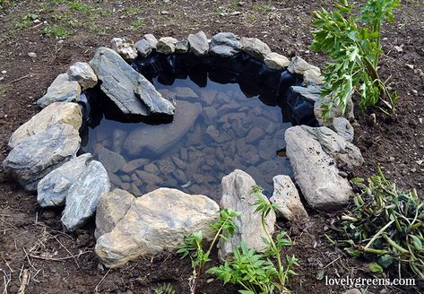 Small Garden Pond, Ponds For Small Gardens, Organic Gardening Pest Control, Diy Pond, Small Pond, Fountains Backyard, Garden Bugs, Natural Pond, Pond Landscaping