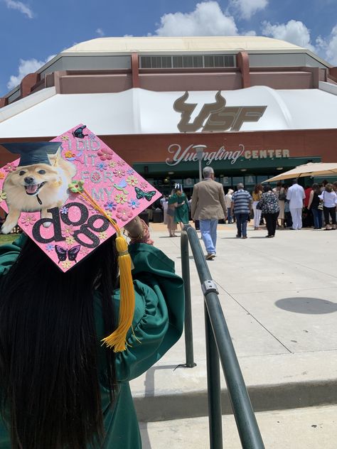 Graduation Cap idea dedicated to dog Dog Graduation Cap, Funny Grad Cap Ideas, Class Of 2027, Grad Hats, Graduation Pictures Poses, Grad Hat, Grad Cap Designs, Grad Cap Ideas, Graduation Picture Poses