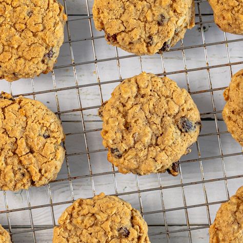 Keep these crisp-yet-chewy cookies on hand for an after school treat. Recipes With Splenda, Splenda Cookies, Chocolate Chip Pumpkin Bars, Pumpkin Bars Recipe, Oatmeal Raisin Cookies Recipe, Chewy Oatmeal Raisin Cookies, Splenda Recipes, Cookie Recipes Oatmeal Raisin, Oatmeal Raisin Cookies Chewy