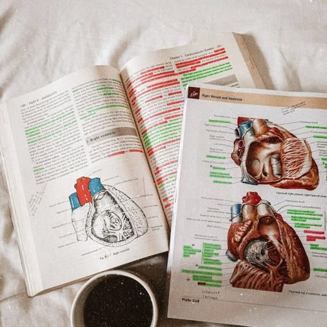 Med School Inspo Aesthetic, Med School Vision Board, Med School Dream Board, Pre Med Inspiration, Taking Meds Aesthetic, Romanticize Med School, Med Student Hacks, Med Student Aesthetic, Med School Aesthetic