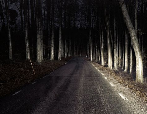 creepy highway in the woods at night Tall Trees, On The Ground, In The Middle, The Middle, At Night, Trees, Forest, Road