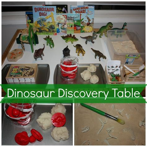 Dinosaur discovery table with lots of great dinosaur learning ideas Discovery Table, Science Center Preschool, Dinosaur Theme Preschool, Dinosaur Craft, Dinosaur Activities Preschool, Dinosaur Invitation, African Cats, Dinosaurs Preschool, Dinosaur Play