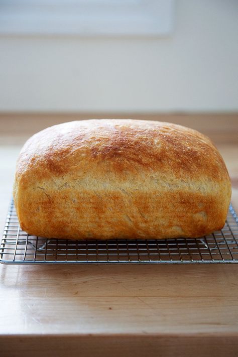 Found! Easy Same-Day Peasant Bread Recipe | Cup of Jo Peasent Bread, Peasant Bread Recipe, Easy Bake Bread, Loaf Bread Recipe, Savory Baking, Peasant Bread, Sandwich Loaf, Homemade Bread Recipes Easy, Homemade Bread Easy