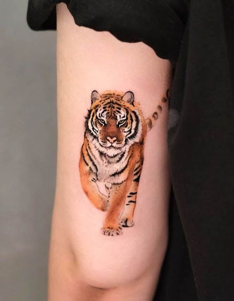 Tattoos Of Tigers, Tiger Tattoo For Women Color, Tiger Cherry Blossom Tattoo, Tiger Tattoo Color, Running Tiger Tattoo, Tiger Tattoo For Women, Arm Tattoos Tiger, Tiger Stripe Tattoo, Tiger Strength Tattoo