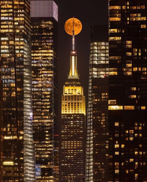 Weehawken, New Jersey 📸: [instagram.com/kpmimages] Weehawken New Jersey, Camp America, Newark New Jersey, United States Of America, New Jersey, Mood Board, York City, New York City, United States