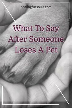 When You Loose A Dog Quotes, Grieve Dog Quotes, Losing An Animal Quotes, Rip For Dogs Pet Loss, When Your Pet Dies Quotes, Lost Of A Dog Quote, Losing Your Dog Best Friend, Lost My Dog Quotes, Sympathy For Dog Loss