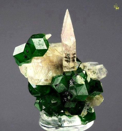 Random Trinkets, Polished Rocks, Minerals Crystals Rocks, Geology Rocks, Rock Steady, Fine Minerals, Pretty Rocks, Beautiful Rocks, Mineral Stone