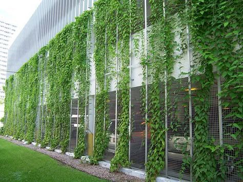 50+ Green wall Design Inspiration - The Architects Diary Screen Facade, Parking Structure, Green Wall Design, Green Facade, Garden Screening, Walled Garden, Green Architecture, Rooftop Garden, Facade Architecture