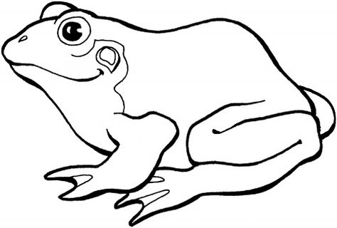 Frog Outline, Frog Coloring, Frog Sketch, Clip Art Black And White, Frog Coloring Pages, Red Eyed Tree Frog, Frog Drawing, Free Coloring Sheets, Princess Coloring Pages