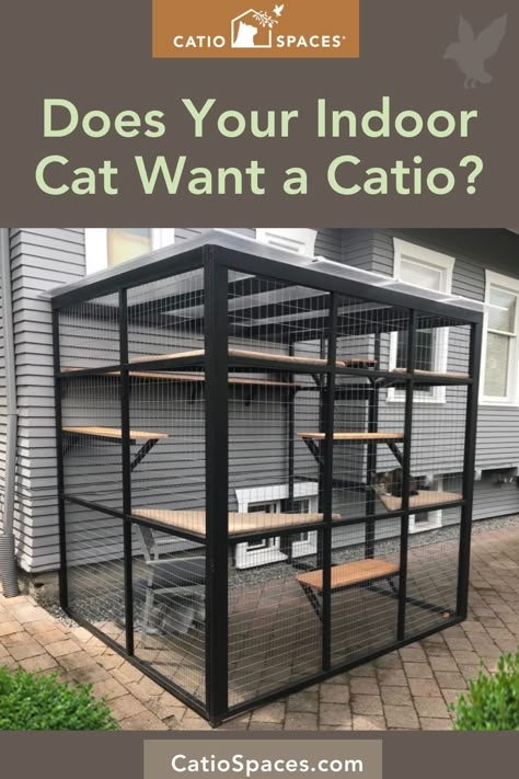 Is your cat trying to tell you they want a catio? Cat parents keep sharing how a catio added joy and outdoor enrichment for both their cats and themselves. Why not open up a whole new world for your cat, too? Explore all of our DIY Catio Plans at catiospaces.com. Catios Diy Indoor, Outdoorcathouse Diy, Cat Kennel Outdoor, Outdoor Cat Cage Ideas, Outdoor Catio Cat, Enclosed Cat Patio, Portable Catio For Cats, Cat Outside House, Diy Indoor Cat Enclosure