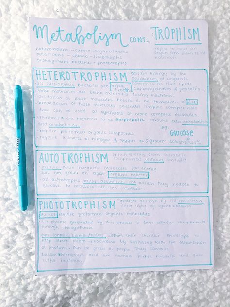 #neathandwriting #neatnotes #prettynotes #metabolism Metabolism Notes Biology, Metabolism Notes, Anatomy Notes Aesthetic, Medical School Notes, Biological Molecules, Notes Biology, Med Notes, Anatomy Notes, Career Plan