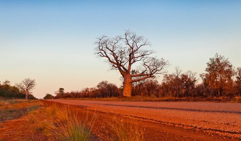 Gibb River Road: the 11-day 'easy' itinerary (plus map) 2023 Era, Travelling Australia, Gibb River Road, Australian Road Trip, Wilderness Lodge, Wilderness Camping, Outback Australia, Safari Tent, River Road