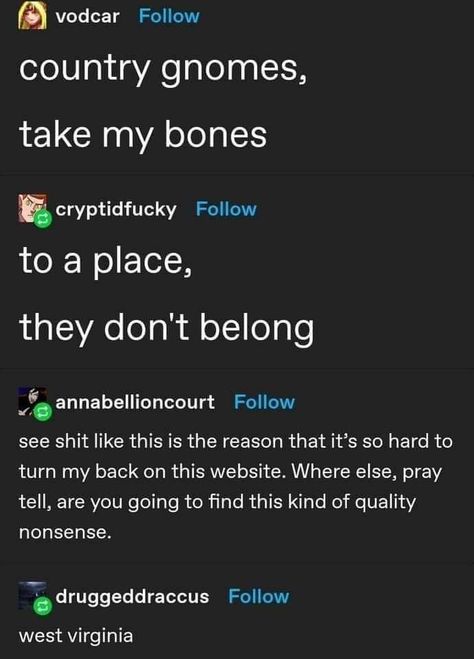 Dnd Funny, Funny As Hell, It Goes On, Oui Oui, What’s Going On, Funny Me, Tumblr Posts, Tumblr Funny, West Virginia