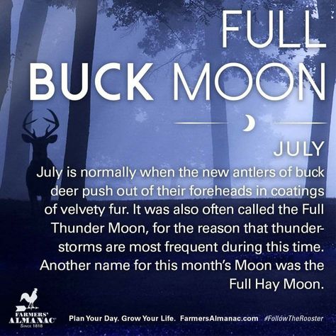 Buck Moon 2024, Buck Moon Meaning, Moon Months, Moon Mythology, Full Moon 2023, July Meaning, July Full Moon, Full Moon July, Folklore Legends