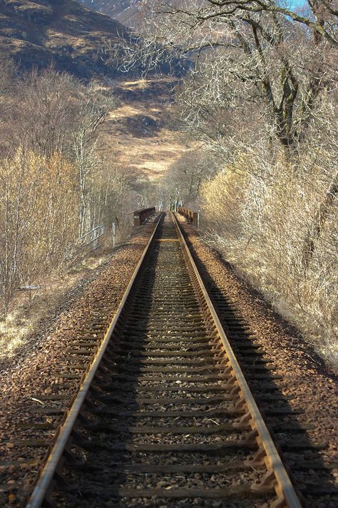 Railway Crossing, Train Landscape, Frieght Trains, Train Tracks Photography, Kilchurn Castle, Abandoned Train Tracks, Rail Train, Transiberian Railway, Railroad Pictures