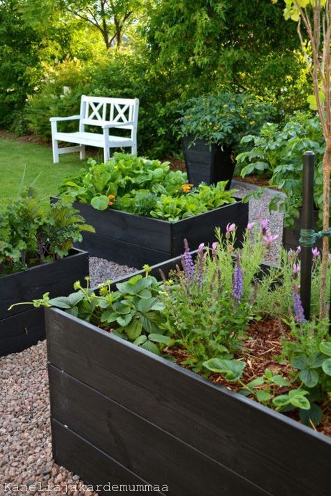 Raised Vegetable Gardens, Potager Garden, Veg Garden, Have Inspiration, Vegetable Garden Design, Garden Boxes, Veggie Garden, Garden Cottage, Edible Garden