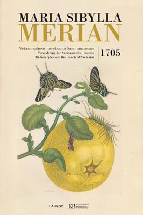 Maria Sibylla Merian, Women Scientists, David Attenborough, Butterfly Life Cycle, Nature Artists, Magnum Opus, History Of Science, Scientific Illustration, Animal Behavior