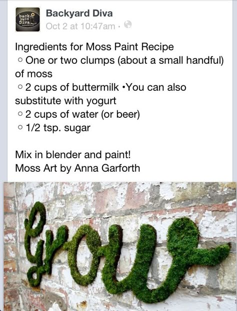 Moss paint. This is so cool!!!! Moss Graffiti, Moss Paint, Growing Moss, Garden Goals, Future Inspiration, Goth Garden, Homesteading Diy, Moss Decor, Apartment Goals