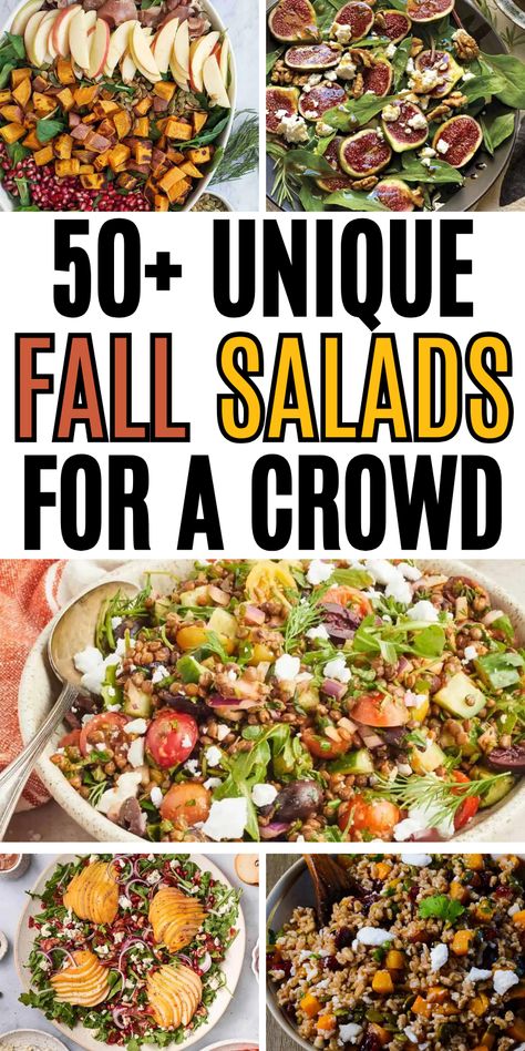 Easy fall salad recipes for a crowd, with apples, pears, and butternut squash or the best harvest salad ideas. October Salad Recipes, Harvest Recipes Fall, Healthy Potluck Side Dishes, Fall Side Salad Recipes, Salads For Large Groups, Fall Luncheon Menu Ideas, Fall Salads Recipes Autumn, Salads For Fall, Best Salad Recipes Healthy