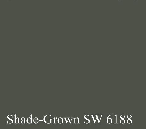 Grown Sherwin Williams, Sherwin Williams Grown, Wherein Williams Shade Grown, Shade Grown Sherwin Williams Bedroom, Hidden Trail Sherwin Williams, Simple Stone Sherwin Williams, Sw Shade Grown, Sherwin Williams Shade Grown Exterior, Shade Grown Sherwin Williams Cabinets