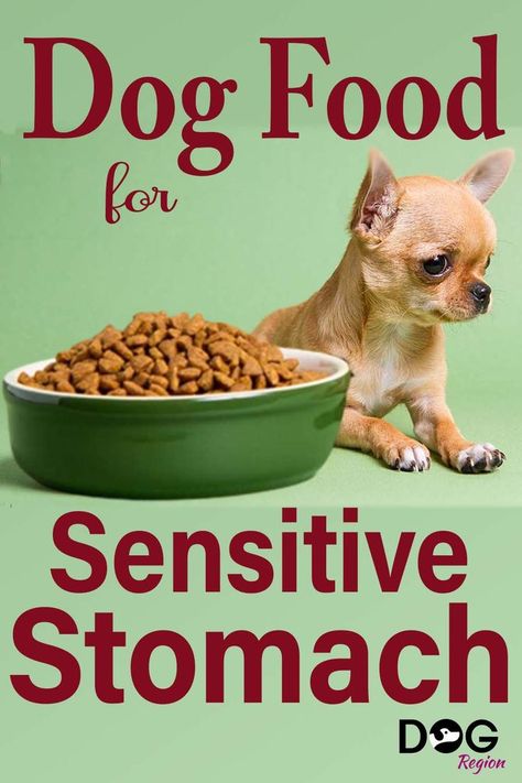 Best Dog Foods With Sensitive Stomachs Homemade Dog Food For Digestive Problems, Dog Food For Sensitive Stomachs, Homemade Dog Food For Sensitive Stomachs, Food Recipes For Dogs, Food For Sensitive Stomach, Low Fat Dog Food, Recipes For Dogs, Home Cooked Dog Food, Diy Dog Food